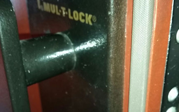 Multi-Lock Steel Door